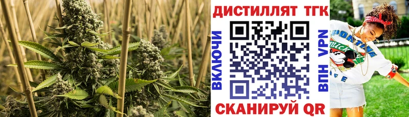 ТГК вейп  Купить где  Юрга 